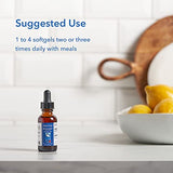 Allergy Research Group Mycocyclin Mushroom Extract - 30 mL - Immune Support Supplement