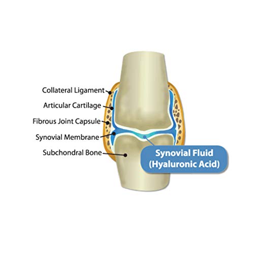 Hyalogic Hyaflex Pro Complete Joint Care Liquid - 8 oz