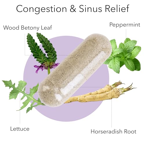 Kroeger Herb Sinus Blend Capsules - 100 Count for Congestion Relief