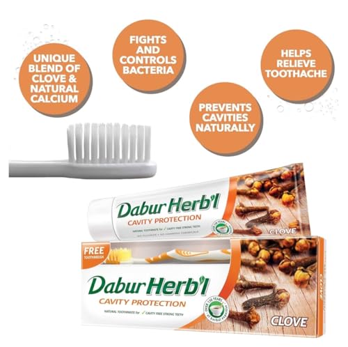 Dabur Herbal Clove Toothpaste for Cavity Protection & Strong Teeth (150g + Toothbrush)