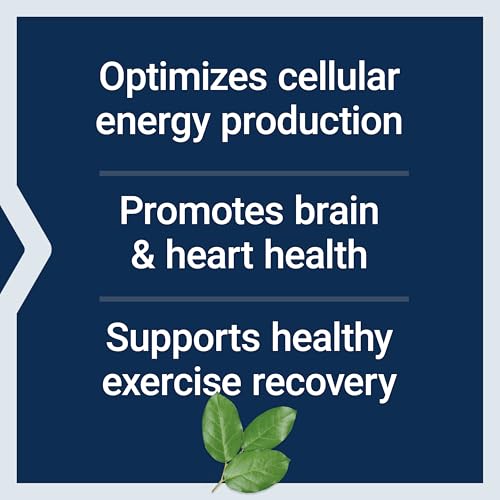 Optimized Carnitine Supplement - 60 Vegetarian Capsules