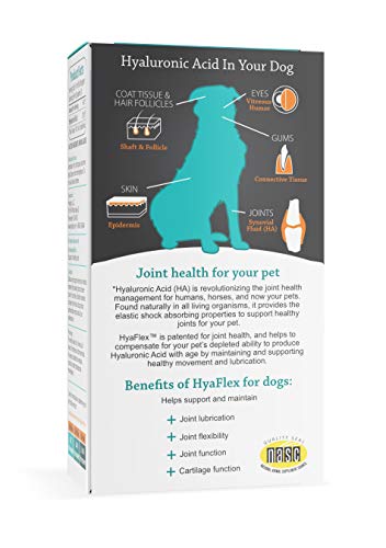 Hyalogic HyaFlex Hyaluronic Acid for Dogs - Joint & Mobility Support - 1 oz (30 ml)