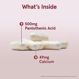 Jarrow Formulas Pantothenic Acid (B5) 500mg - 100 Veggie Caps - Energy & Metabolism Support