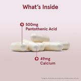 Jarrow Formulas Pantothenic Acid (B5) 500mg - 100 Veggie Caps - Energy & Metabolism Support