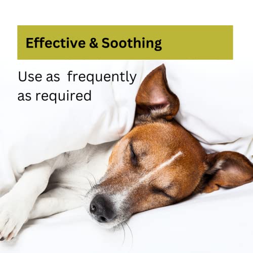 Nature's Greatest Secret Colloidal Silver Antibacterial Pet Spray 10ppm 500ml