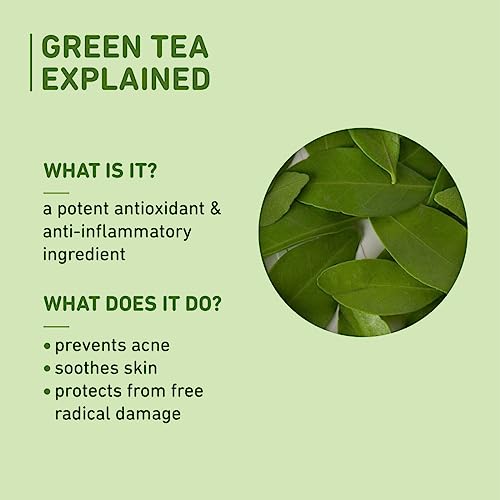 Plum Green Tea Oil-Free Moisturizer - Fragrance-Free with Squalane, Niacinamide & Hyaluronic Acid - 50g