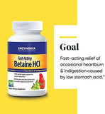 Enzymedica Fast-Acting Betaine HCL: Heartburn & Indigestion Relief - 120 Capsules