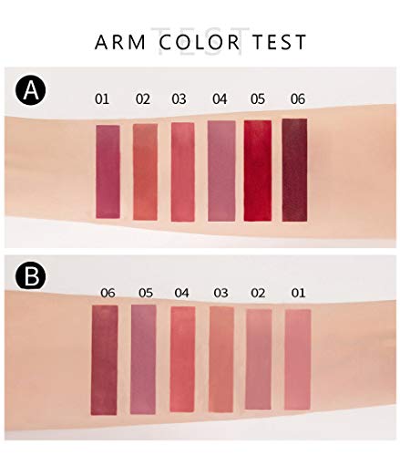 6Pcs Matte Liquid Lipstick Makeup Set Long Lasting Non-Stick Cup Waterproof Lip Gloss Set A