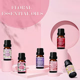 SALKING Essential Oil Set - 6 x 10ml Premium Aromatherapy Oils
