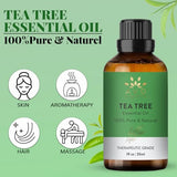 AVD ORGANICS Tea Tree Essential Oil 30ml - 100% Pure Natural Therapeutic Grade Aromatherapy Oil for Relaxation, Skin & Hair Care