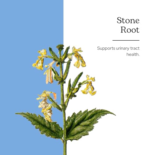 Eclectic Stone Root O, Red - 2 fl oz - Herbal Liquid Extract