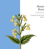 Eclectic Stone Root O, Red - 2 fl oz - Herbal Liquid Extract