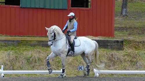 Hyalogic Hyaluronic Acid Equine Joint Supplement for Horses (Oral Syringe)