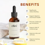 Elire Organic Lemon Balm Extract - Mood & Digestive Support - Alcohol-Free - Vegan, Non-GMO, Gluten-Free - 30ml