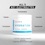Kaged Electrolytes Muscle Hydra-Charge Powder - 60 Servings Hibiscus Pear - Premium Hydration Formula