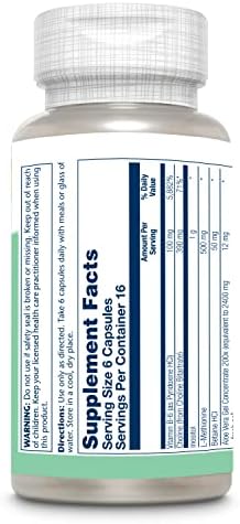 Solaray Lipotropic 1000 Plus - 100 Capsules