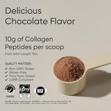 Sports Research Marine Collagen Peptides Powder (Dark Chocolate) | Post-Workout Recovery & Beauty Support