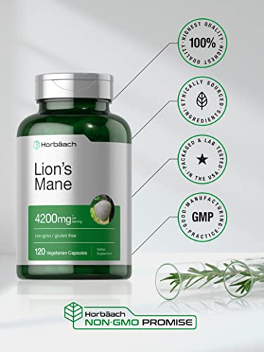 Horbäach Lion's Mane Mushroom Extract - 4200mg, 120 Capsules