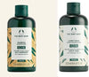 شامبو وبلسم The Body Shop بالزنجبيل (٢٥٠ مل لكل منهما) - نباتي، مضاد للقشرة