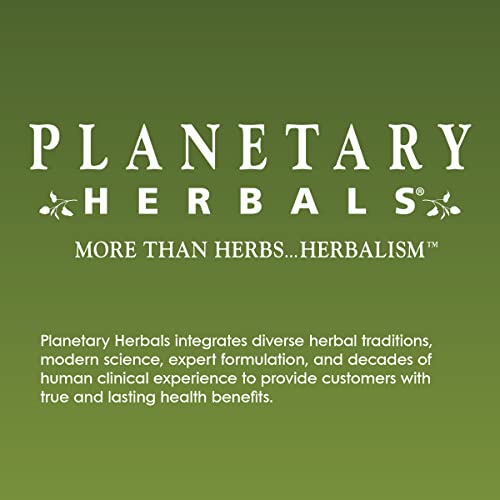 Planetary Herbals Well Child Alcohol-Free Echinacea-Elderberry Syrup - 2 Fl Oz