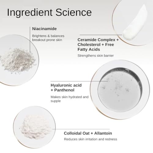 The Formularx Barrier Relief Ceramide Lightweight Moisturizer with Niacinamide & Hyaluronic Acid - For Oily & Sensitive Skin - 50g