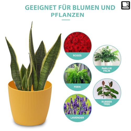 3-Pack Matte Mustard Plastic Flower Pots (16cm Diameter) - Large Decorative Herb Planters