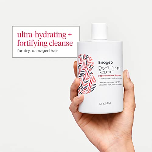 Briogeo Don't Despair, Repair! Super Moisture Shampoo - Argan Oil Hair Treatment for Dry & Damaged Hair - 16 fl oz