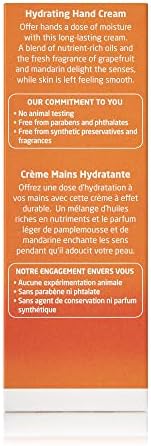 Weleda Sea Buckthorn Hand Cream - Intensive Hydration & Repair