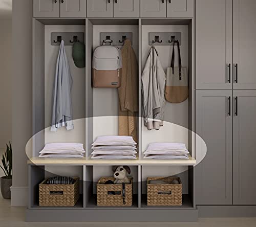 SOLSTICE Cotton Saree Storage Bags with Zip Closure (Set of 12) – Big Size Wardrobe Organizer