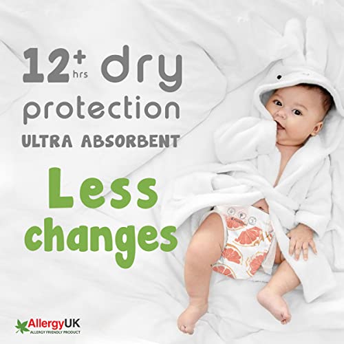 PureBorn Organic Bamboo Baby Diapers Size 4 (7-12kg, 24 Pcs)