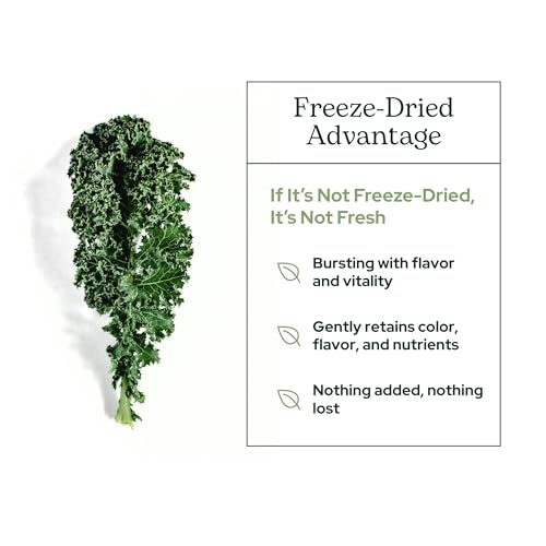 Eclectic Institute Glass BlackBerry FDV Supplement - Antioxidant & Immune Support - 90 Count