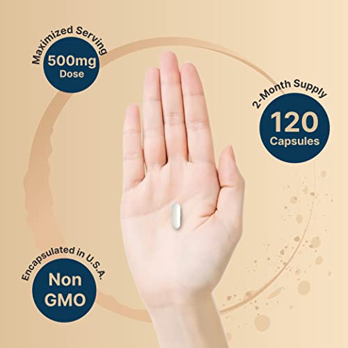 NatureBell Citicoline CDP Choline 500mg + Tyrosine 50mg - Brain Support Supplement - 120 Capsules - Non-GMO