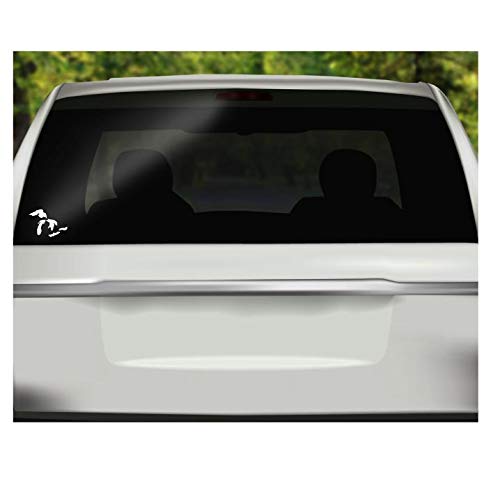 Great Lakes Vinyl Decal – White Car Window Decal by Foxtail Decals