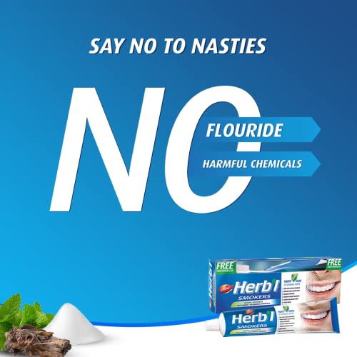 Dabur Herbal Smokers Natural Toothpaste with Salt, Mint & Blackberry - 150g