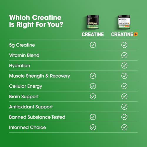 Optimum Nutrition (ON) Micronized Creatine Powder - Unflavored (300g, 115 Servings)