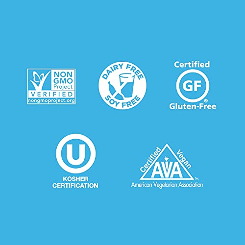 NUUN Sport Electrolyte Drink Tablets | Fruit Punch | 80 Tablets (Pack of 8 Tubes)