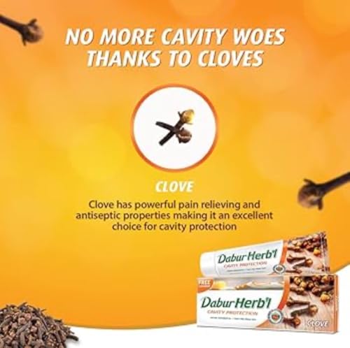 Dabur Herbal Clove Toothpaste for Cavity Protection & Strong Teeth (150g + Toothbrush)