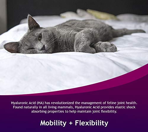 Hyalogic HyaFlex for Cats - Oral Hyaluronic Acid (HA) Joint Supplement 1 oz