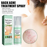 ERIKO 2% Salicylic Acid Back Acne Spray, Tea Tree Oil + Body Acne Spray with 2% Salicylic Acid, Teen acne treatment