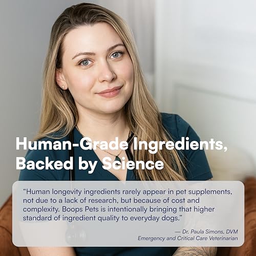 NAD+ Precursor & Senior Dog Supplement - 90 Soft Chews with NMN Alternative for Longevity, Anti-Aging & Energy - Nicotinamide Riboside, Resveratrol, Quercetin