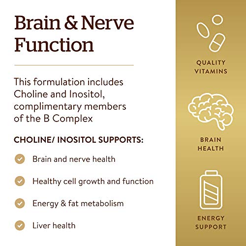 Solgar Choline/Inositol 500 Mg - 100 Vegetable Capsules | Brain & Nervous System Support