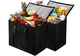 NZ Home XL Insulated Shopping Bags for Groceries or Food Delivery - 2 Pack