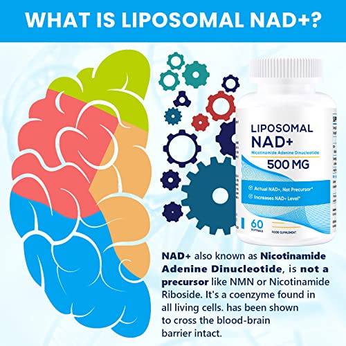Liposomal NAD+ 500 MG with TMG 250 MG - Superior Absorption for Healthy Aging