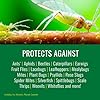 Bayer Advanced Rose & Flower Insect, Disease & Mite Control - 24 oz