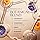 Weleda Skin Food Original Ultra-Rich Cream (2.5 fl oz) - Intensive Moisturizing