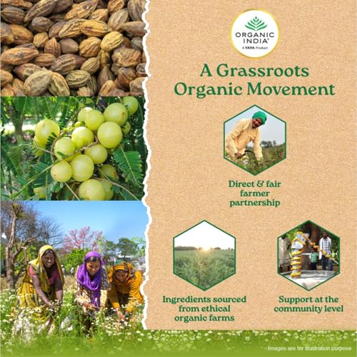 Organic India Triphala Powder - 100g - Natural Digestive & Detox Support