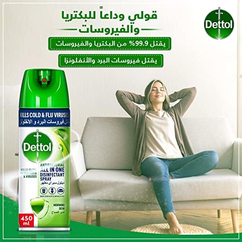 Dettol Multi-Purpose Disinfectant Spray (450ml) - Morning Dew Scent