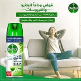 Dettol Multi-Purpose Disinfectant Spray (450ml) - Morning Dew Scent