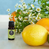 Energy Boost Essential Oil Synergy Blend – 10ml | 100% Pure Therapeutic Grade | Uplifting Aromatherapy