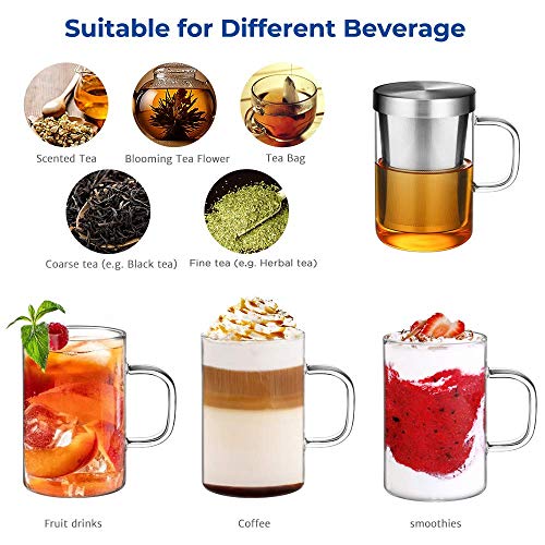 ecooe Borosilicate Glass Tea Mug with Stainless Steel Infuser & Lid - 500mL